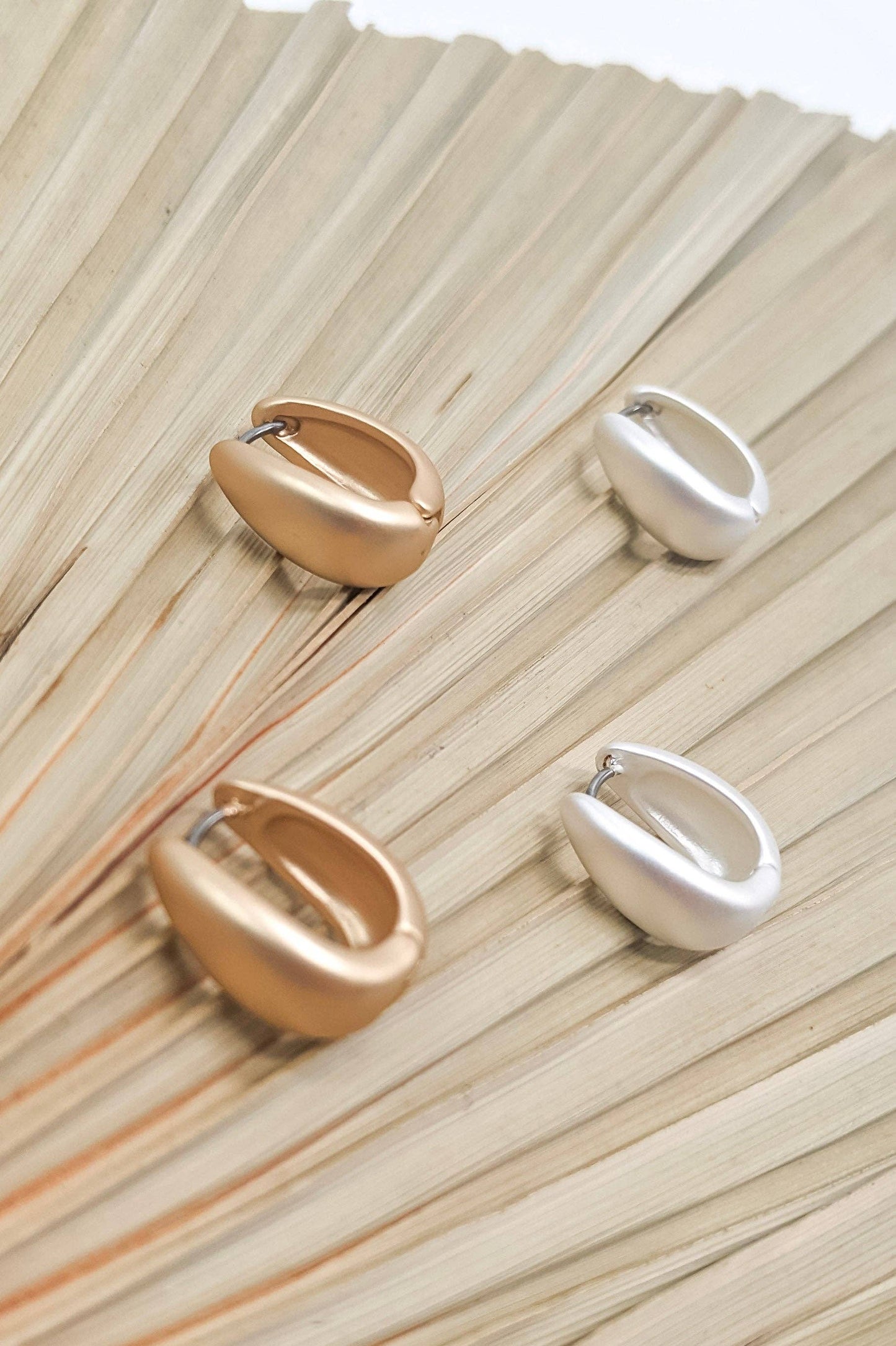 Arienna Earrings in Matte Silver