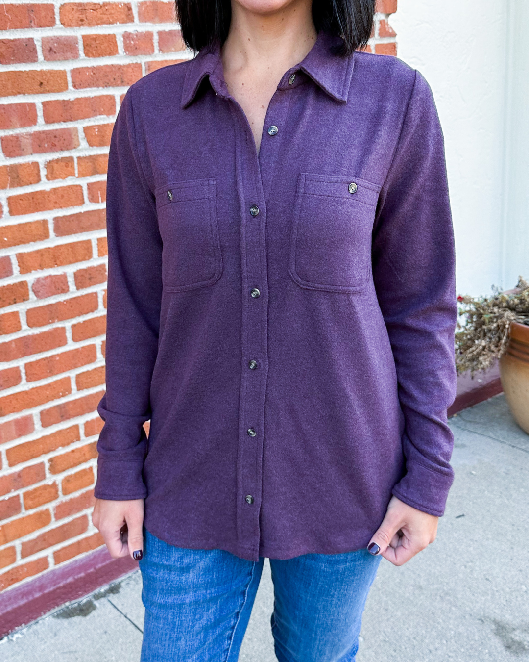 Lewis Button Down in Plum
