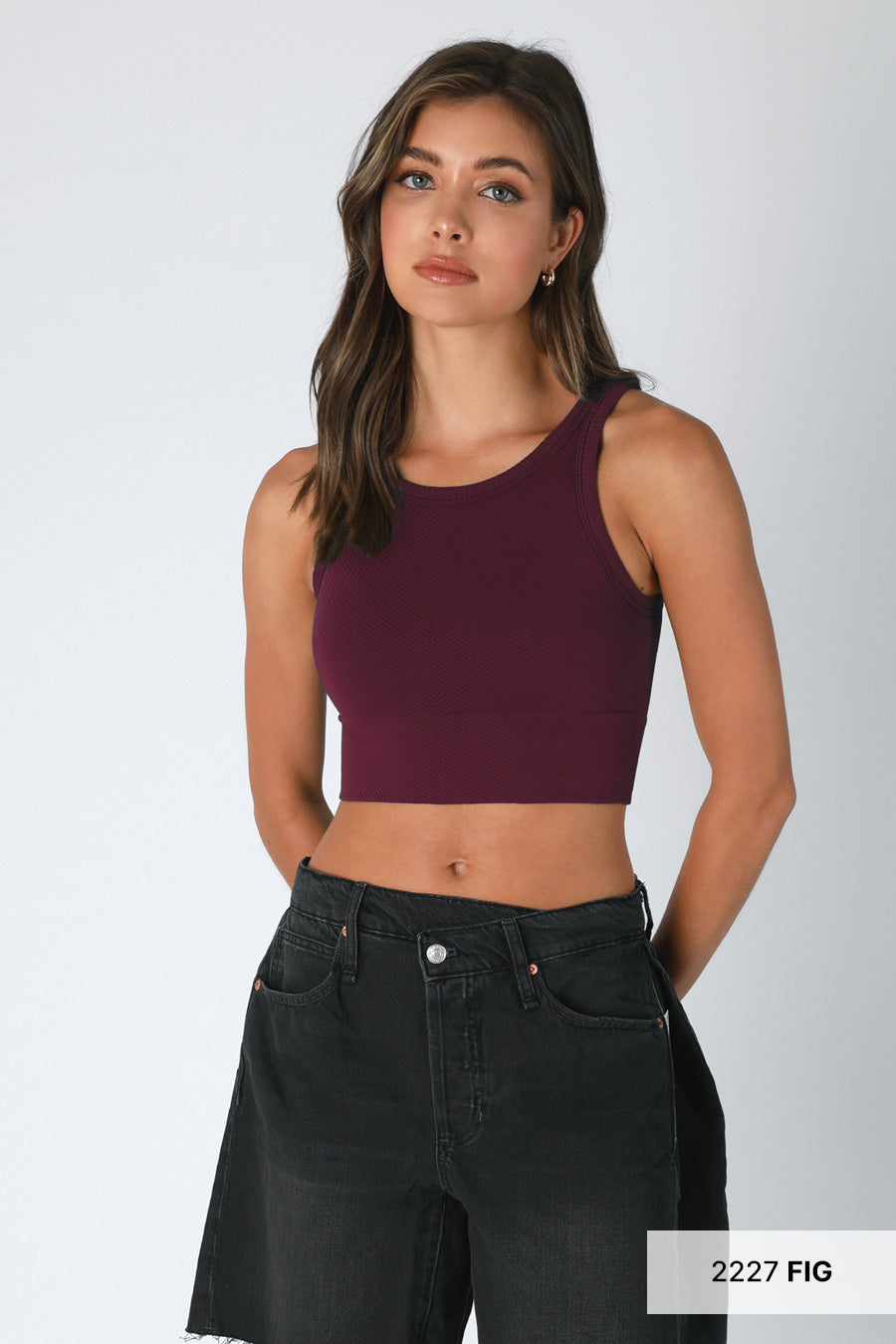 High Neck Chevron Crop Top in Fig