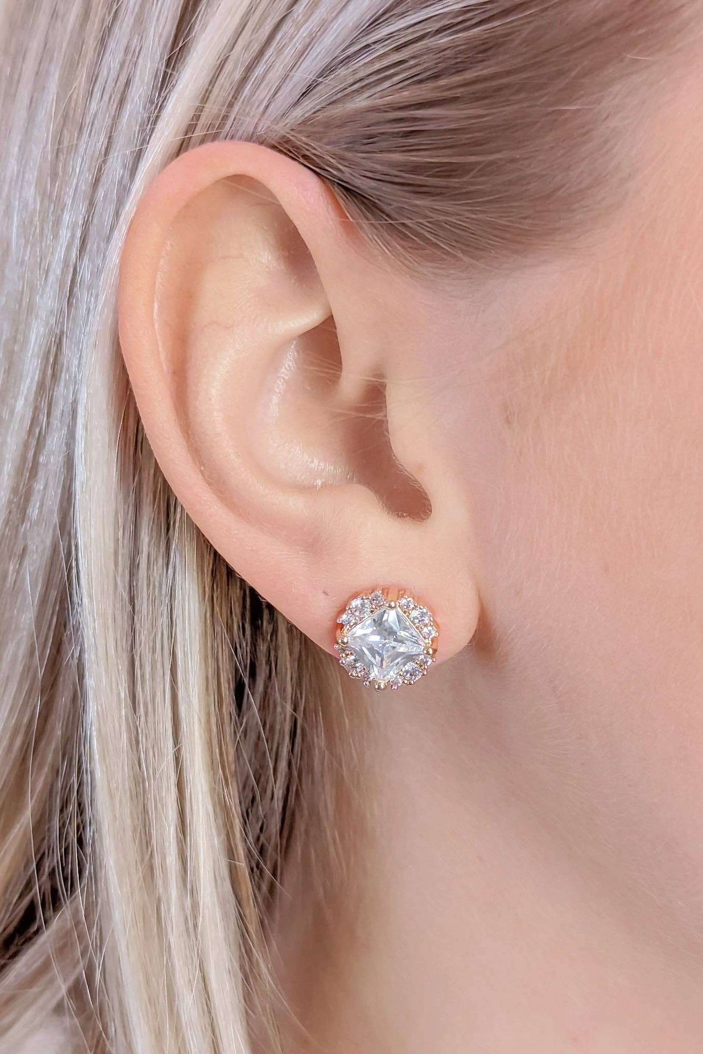 Denice Earrings in Silver
