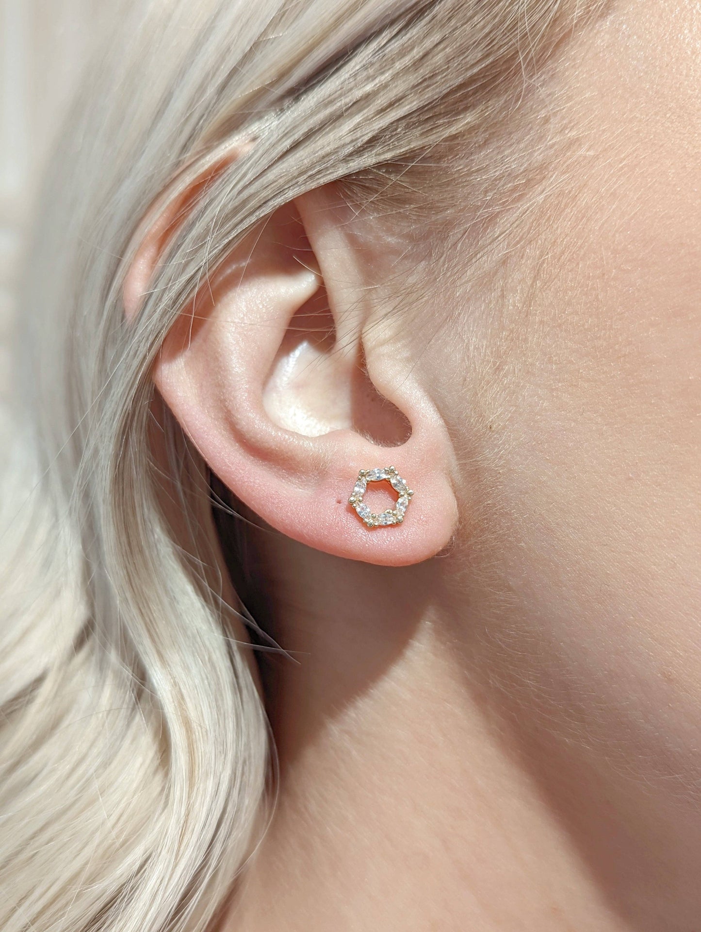 Leland Earrings: SILVER