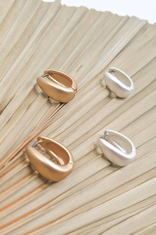 Arienna Earrings in Matte Silver