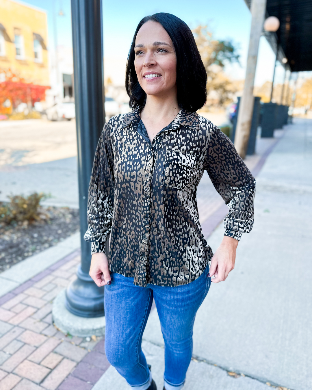 Valentina Velvet Animal Print Top in Taupe