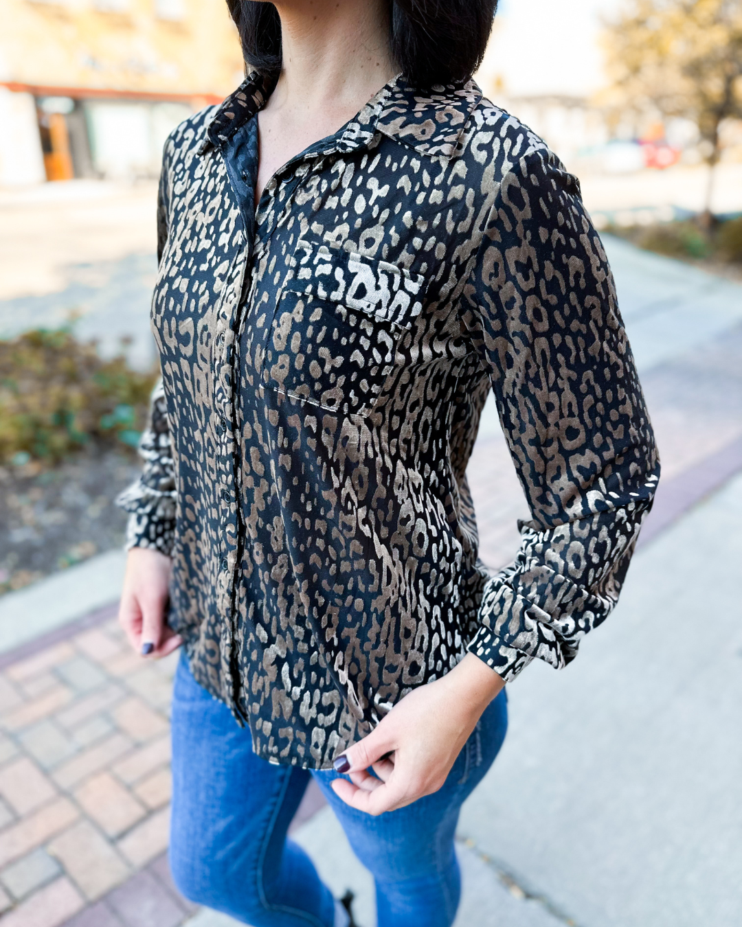 Valentina Velvet Animal Print Top in Taupe