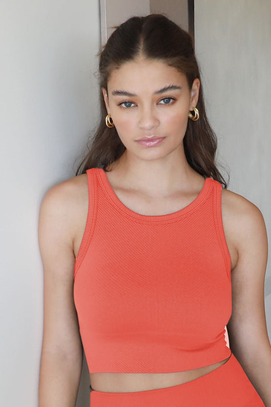 High Neck Chevron Crop Top in Burnt Sienna