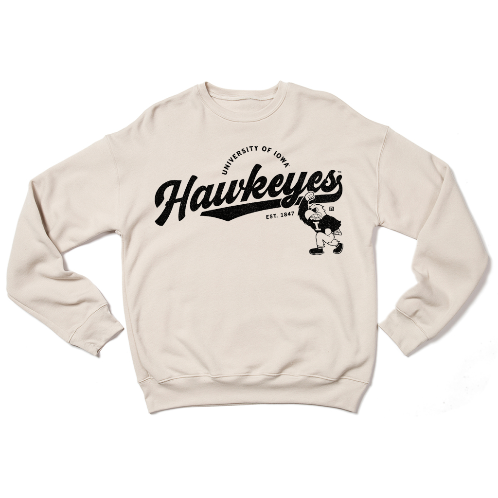Hawkeyes University of Iowa 