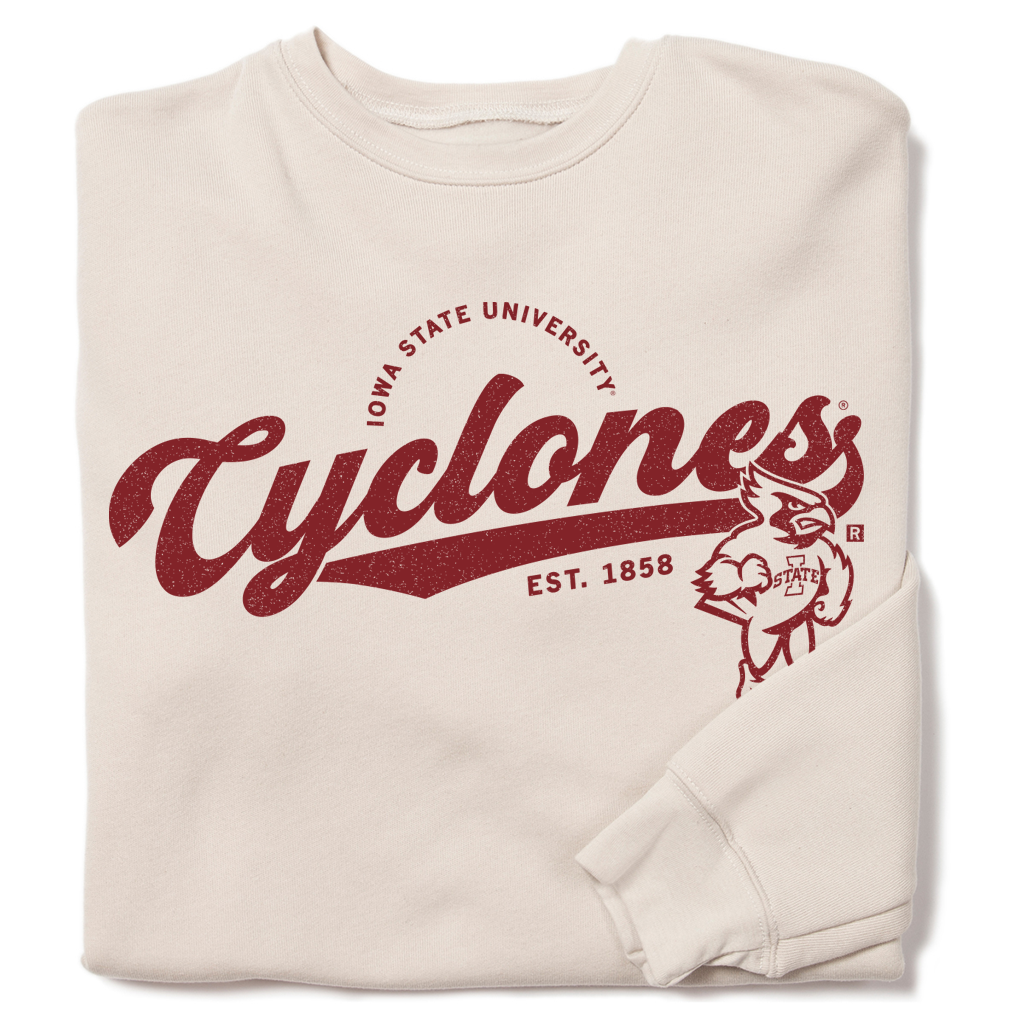 Cyclones Script Logo Crew Sweatshirt in Heather Dust by Raygun